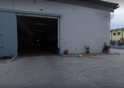 Dorico Park Ancona Valet